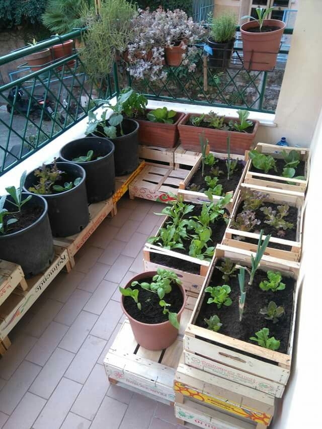 several wooden pallets filled with plants on top of a tiled floor next to a balcony