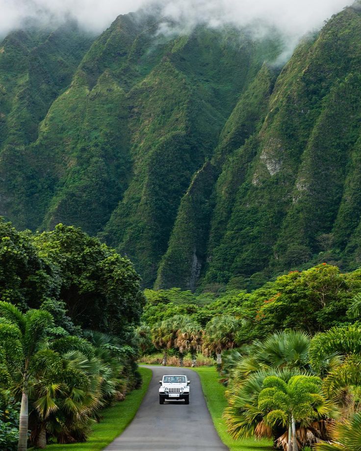 a car is driving down the road in front of some green mountains and palm trees