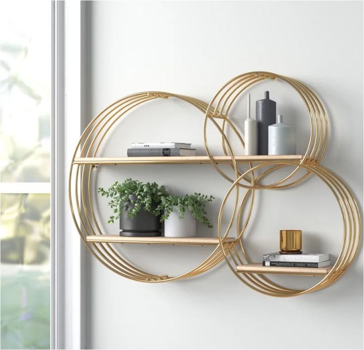 two circular shelves with plants and books on them in front of a white wall next to a window