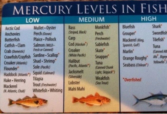 the menu for mercurry levels in fish