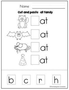 a worksheet for beginning with the letter b, and an image of a bat