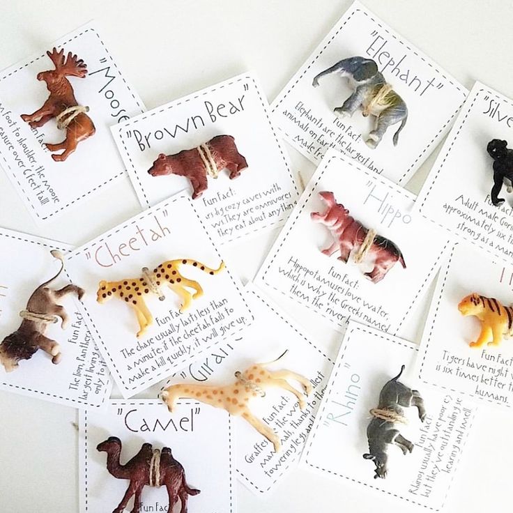 there are many different types of toy animals on these cards