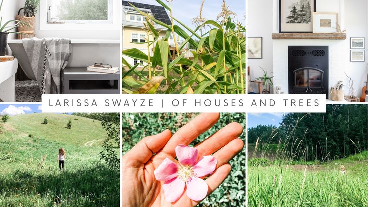 Larissa Swayze | Of Houses and Trees | Sustainable Design