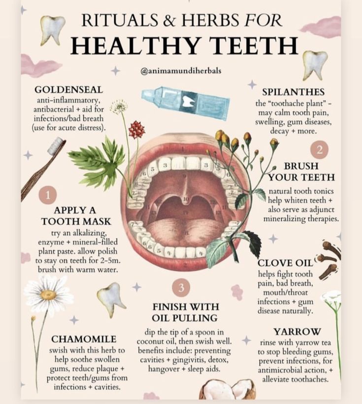 Kesehatan Gigi, دورة شهرية, Medical Herbs, Hygiene Tips, Teeth Health, Natural Healing Remedies, Herbal Healing, Home Health Remedies, Herbs For Health