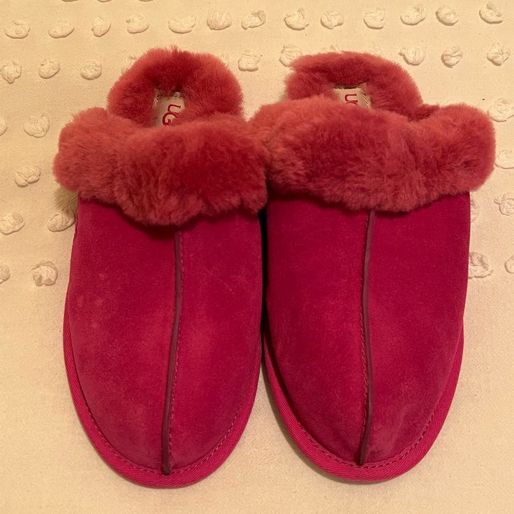 Never Worn Pink Ugg Slippers, Pink Uggs, Ugg Slippers, Womens Uggs, Ugg Shoes, Hot Pink, Slippers, Women Shoes, Pink