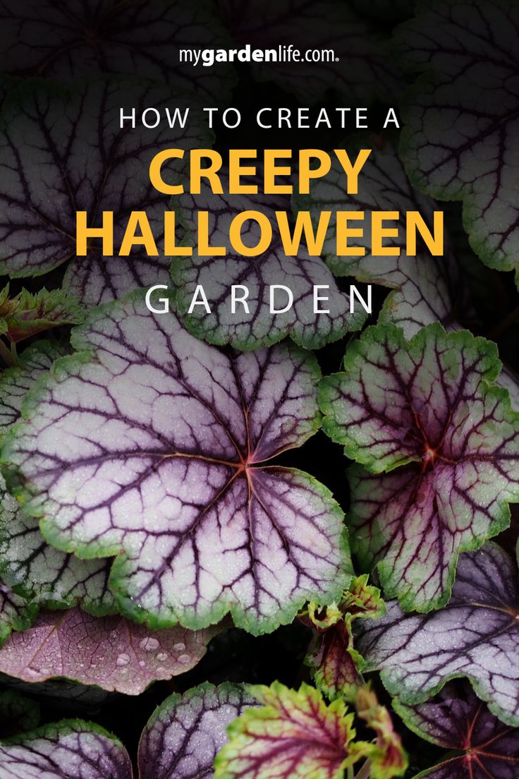 purple and green leaves with the words how to create a creepy halloween garden