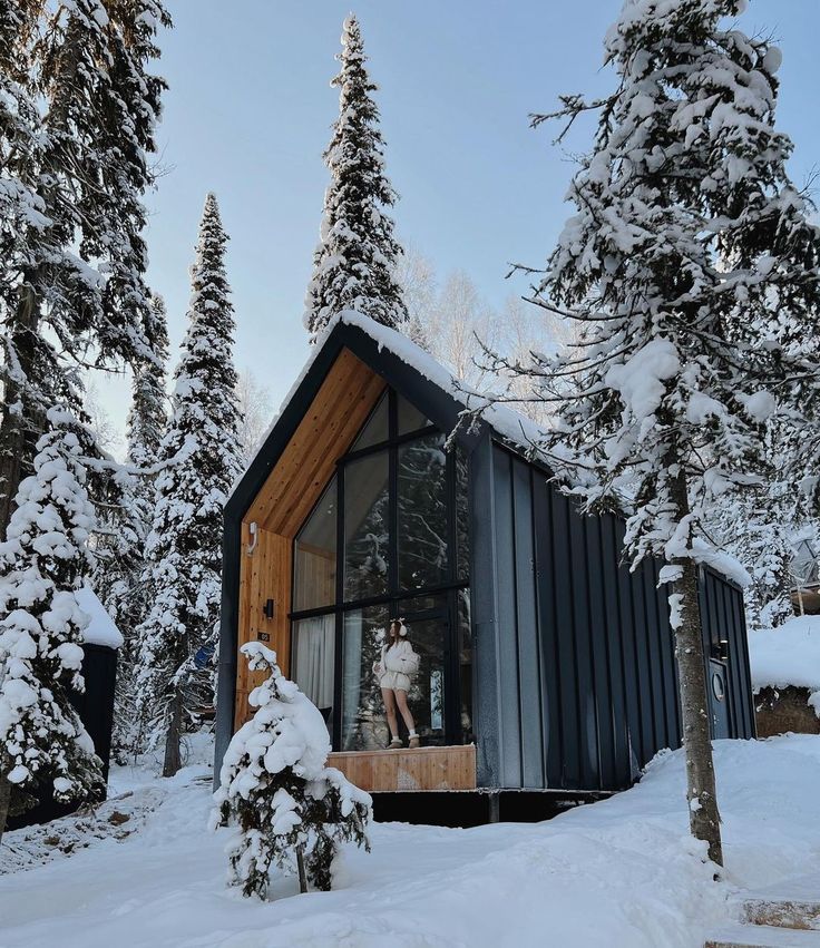 a man standing in the window of a small cabin surrounded by snow covered trees and evergreens