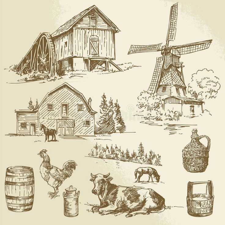 farm animals and windmills in an old fashioned engraving style, hand drawn illustration on paper