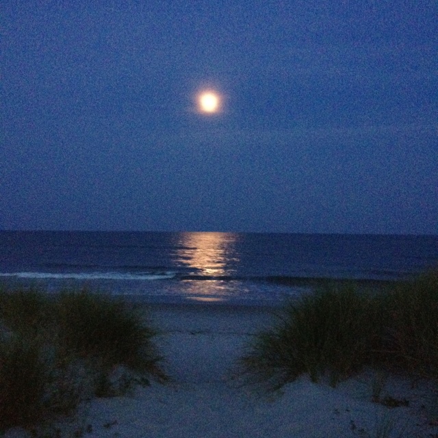 the full moon is setting over the ocean and sand dunes in front of an empty beach