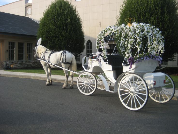 a white horse pulling a carriage with flowers on it's back down the street