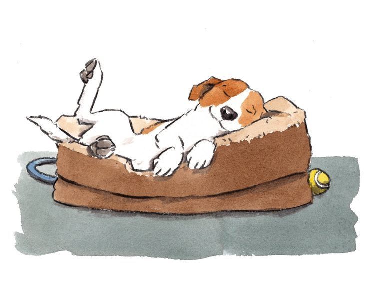 a drawing of a dog laying on top of a piece of furniture with its paw in it's mouth