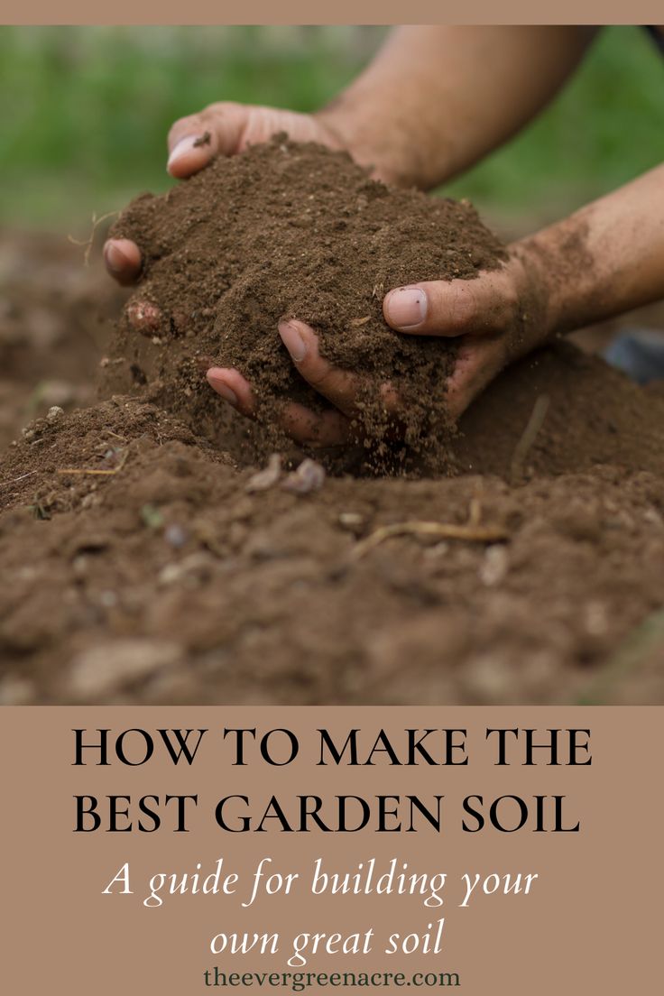 two hands full of brown soil Garden Soil Preparation, Garden Soil Mix, Vegetable Garden Soil, Growing Organic Vegetables, Garden Prepping, Compost Soil, Vegetable Garden Raised Beds, Healthy Garden, Home Vegetable Garden