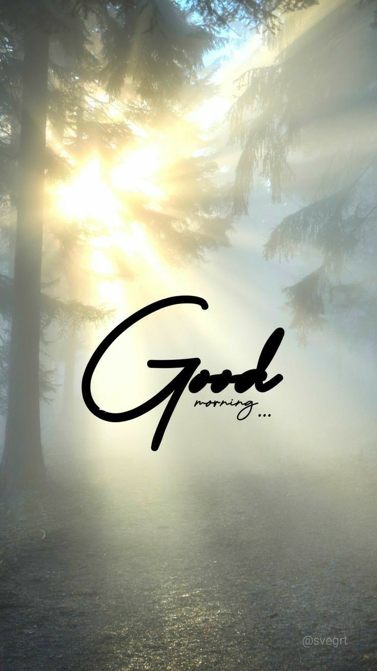 the word god is surrounded by fog and sunbeams in front of some trees