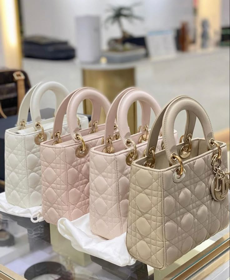 Rich Shopping, Coquette Tiktok, Dior Purse, Dior Aesthetic, Branded Outfits, Princess Fashion, Dream Bag, Luxury Bags Collection, Shopping Gifts