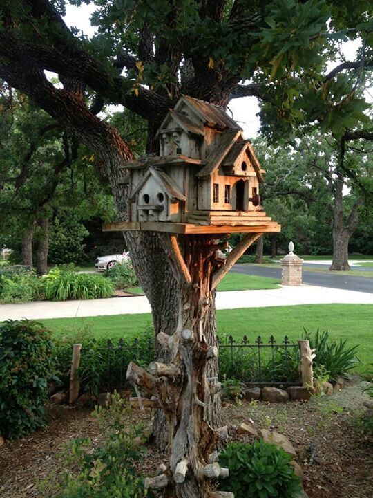 a tree house built into the side of a tree in a yard with lots of grass