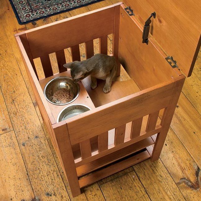 a small dog is eating out of its food dish in the wooden crate on the floor