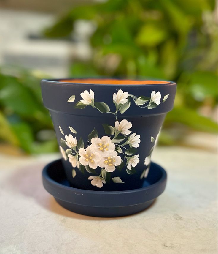 a flower pot sitting on top of a blue saucer