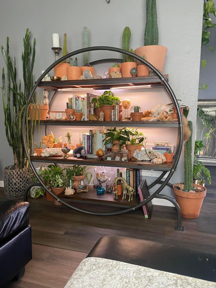 a shelf filled with lots of potted plants