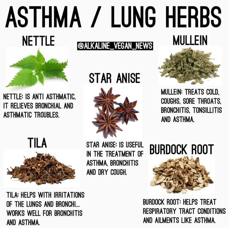 Lung Health, Herbal Remedies Recipes, Medical Herbs, Lungs Health, Dr Sebi, Natural Healing Remedies, Healing Remedies, Herbal Healing, Home Health Remedies