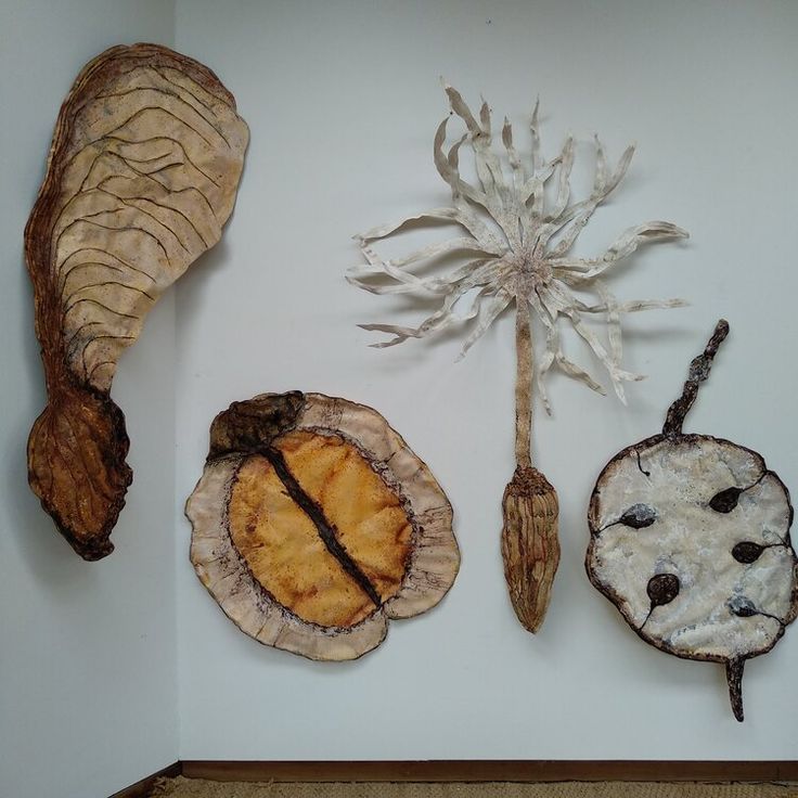 three different types of dried plants on display