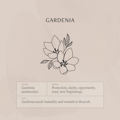 the gardenia website homepage