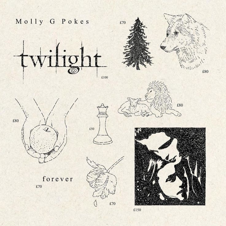 an old book with pictures of different animals and trees on it's cover, which reads twilight forever