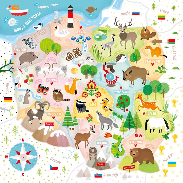 an illustrated map of the united states with animals, trees and other things on it