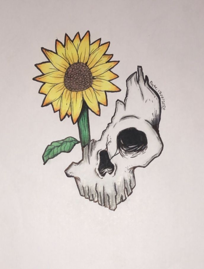 a drawing of a skull with a sunflower on it