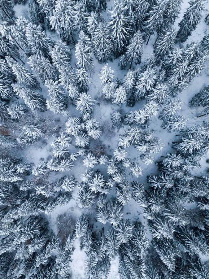 an aerial view of snow covered pine trees