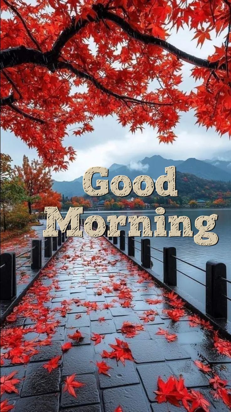 the words good morning are written on a photo with red leaves