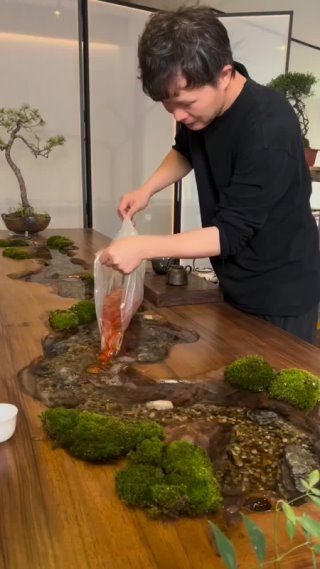 Koi Fish Aquarium, Indoor Zen Garden, Fish Table, Wooden Dining Table Designs, Fish Pond Gardens, Cool Fish Tanks, Aquascape Design, Mini Aquarium, Indoor Water Garden