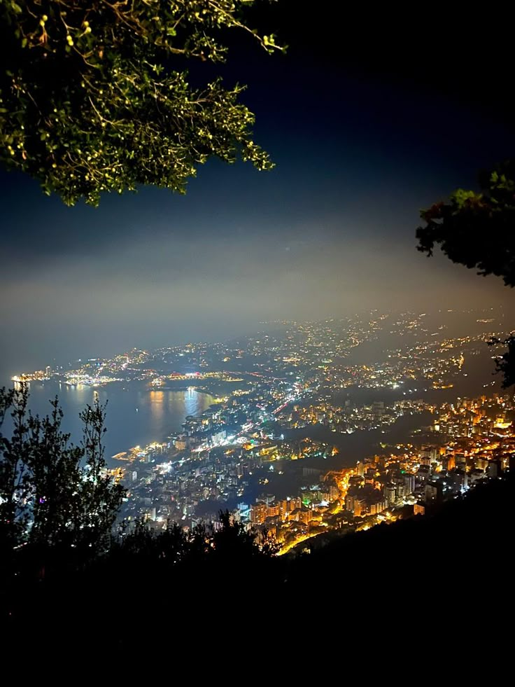 the city lights are lit up at night as seen from top of a hill in the distance