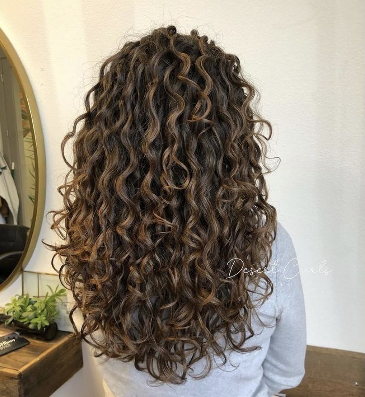 Curly Hair Inspo, Highlights Curly, Natural Curly Hair Cuts, Color Melt, Highlights Curly Hair, Curly Hair Photos, Haircut Inspo, Colored Curly Hair, Haircuts For Curly Hair