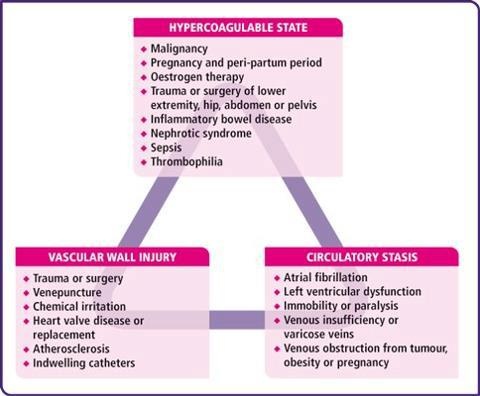 a diagram showing the different types of medicationss and their effects on people's health