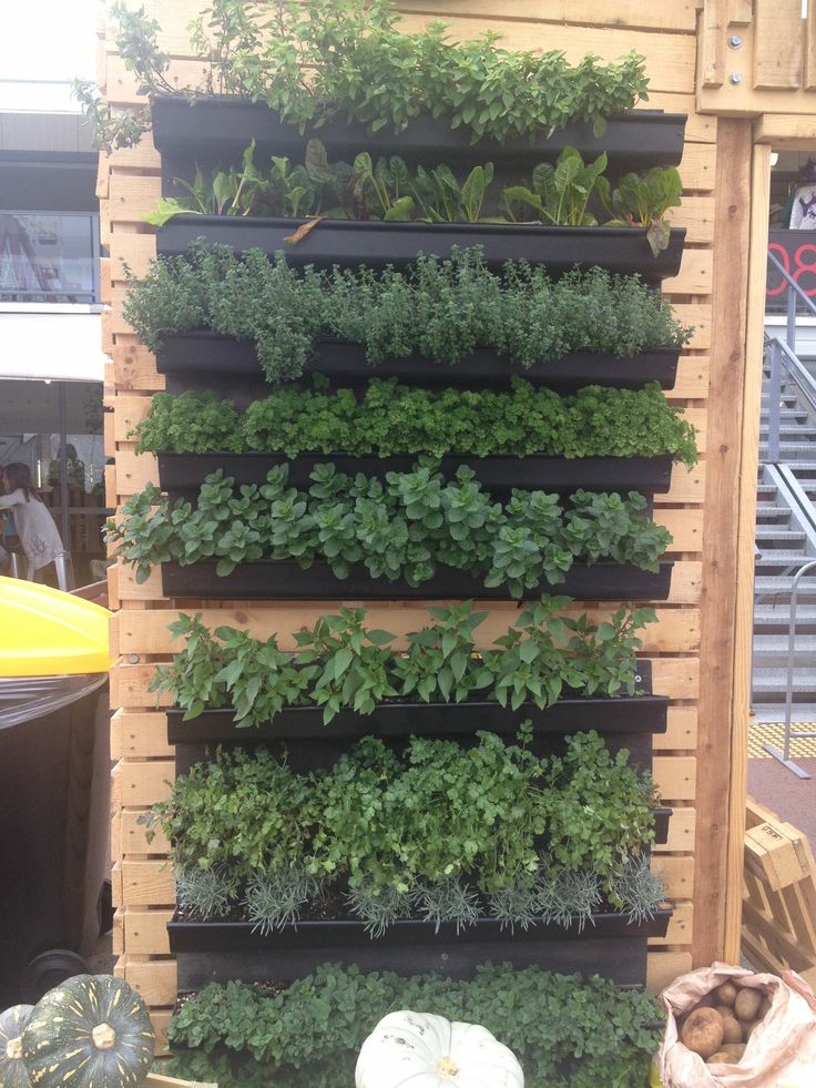 a vertical herb garden is displayed on a pallet