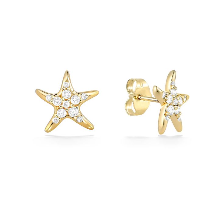 41813 - 14K Yellow Gold - Starfish Stud Earrings Yellow Gold Star-shaped Pierced Earrings, Yellow Gold Star Diamond Earrings For Anniversary, Formal Star-shaped Fine Jewelry Earrings, Gold Star Earrings For Formal Occasions, White Gold Star Earrings Fine Jewelry, 14k Gold Star-shaped White Gold Earrings, 14k White Gold Star Earrings, Yellow Gold Starfish Earrings For Gift, Yellow Gold Star Earrings