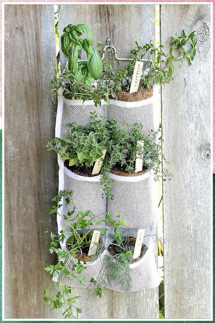 So, you finally have your herb box planter. And you're ready to plant your favorite herbs. But how much water do you put in your box? Or, is it too hot or too cold for your plants? Wall Hanging Plants Indoor, Hanging Herb Gardens, Vertical Herb Gardens, Cosmetic Inspiration, Hanging Herb Garden, Hanging Herbs, Vertical Vegetable Garden, Diy Herb Garden, Types Of Herbs