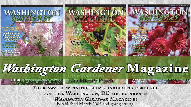 Kathy Jentz Garden Book Author and Speaker - GardenDC Podcast