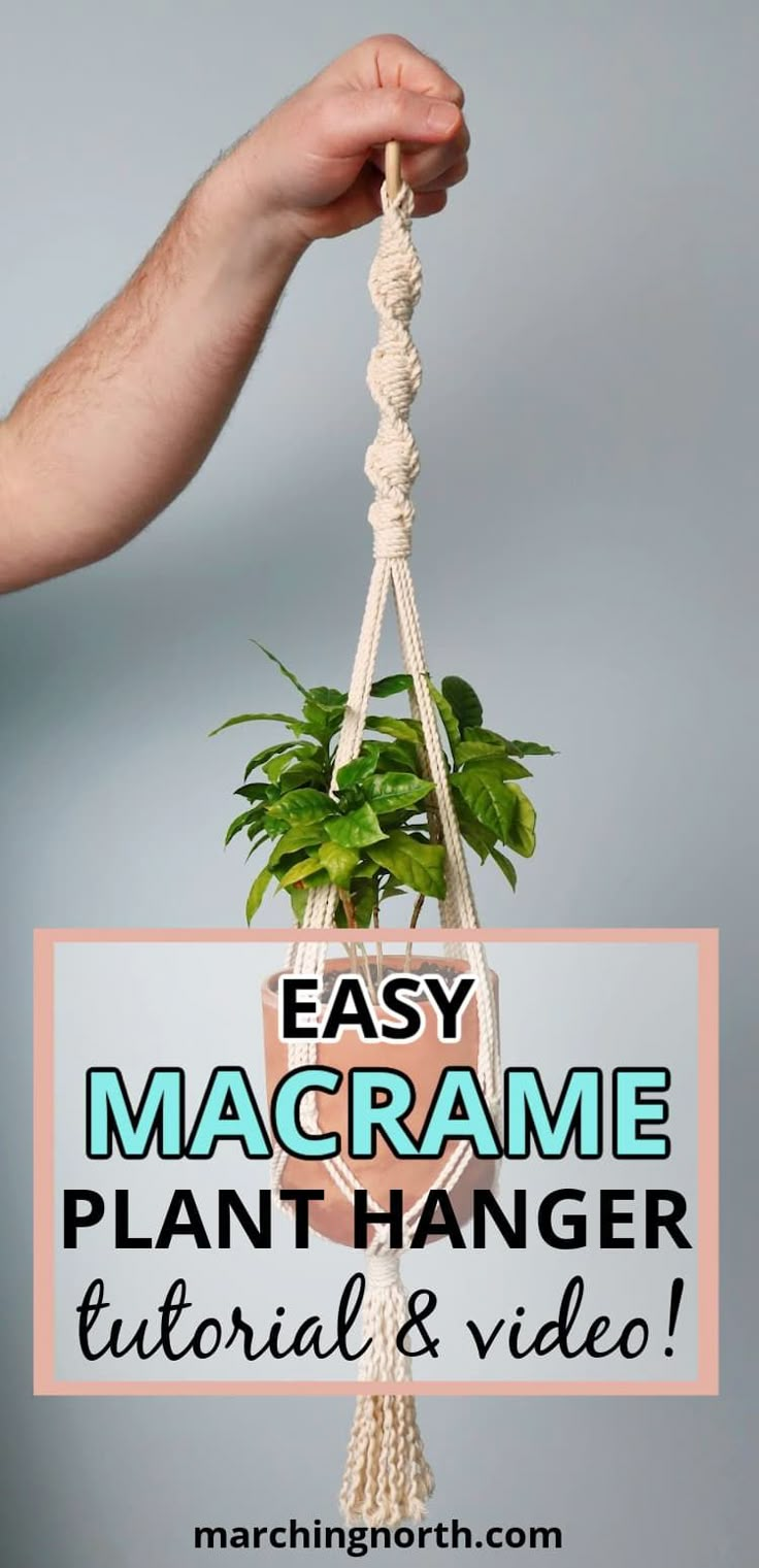 a macrame plant hanger with text overlay reading easy macrame plant hanger tutor & video