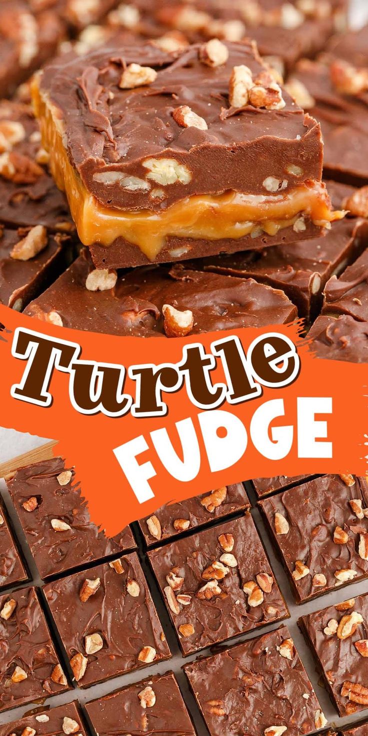 chocolate fudge bars stacked on top of each other with the words, turtle fudge