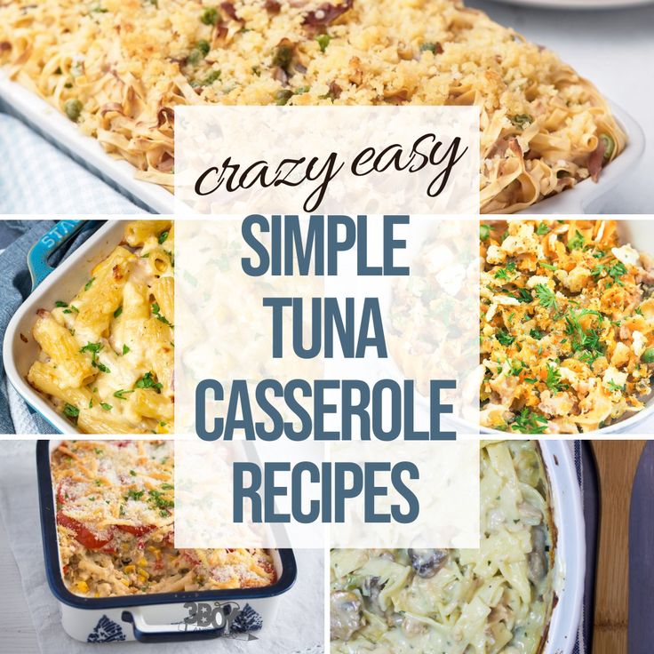 four different casserole dishes with text overlay that reads crazy easy simple tuna casserole recipes