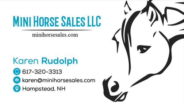 Mini Horse Sales LLC