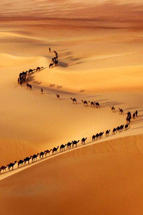 a group of people riding horses across a sandy desert area in the sahara, africa