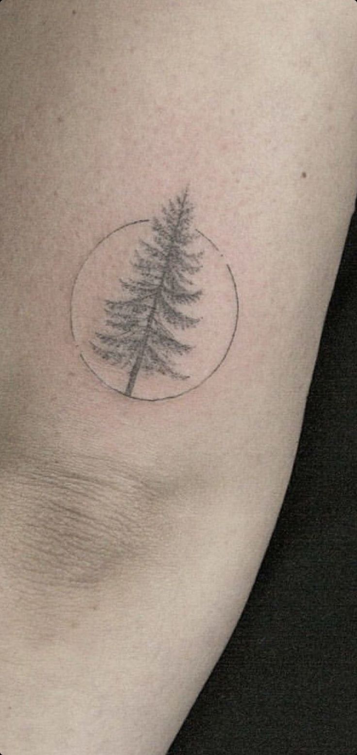 a small pine tree tattoo on the right side of the left arm, with a circle around it