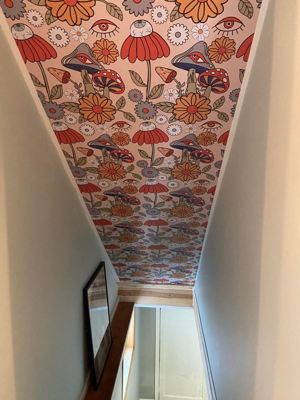 the hallway is decorated with colorful wallpaper and flowers on it's ceiling, along with a mirror