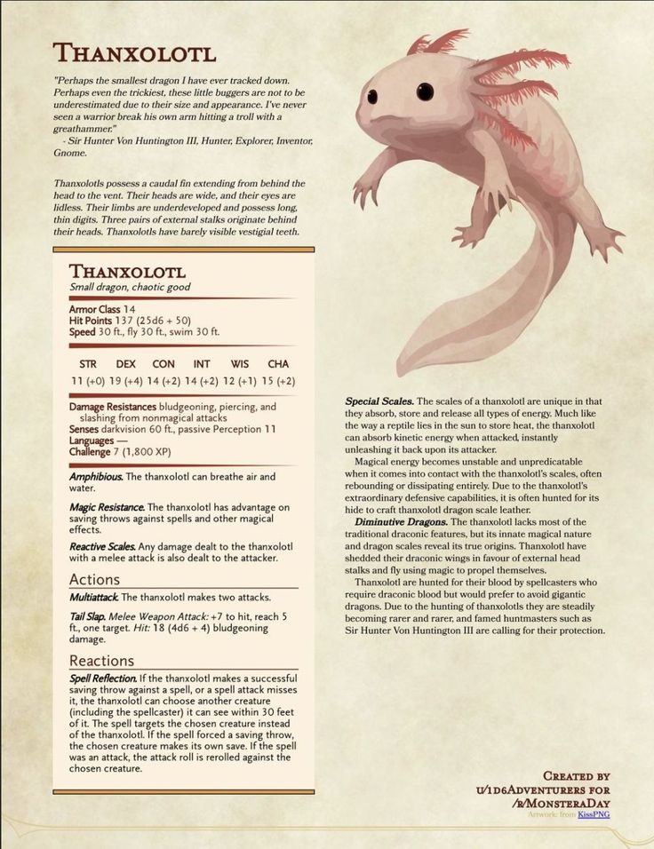 an animal that is in the middle of a page with information about its body and head