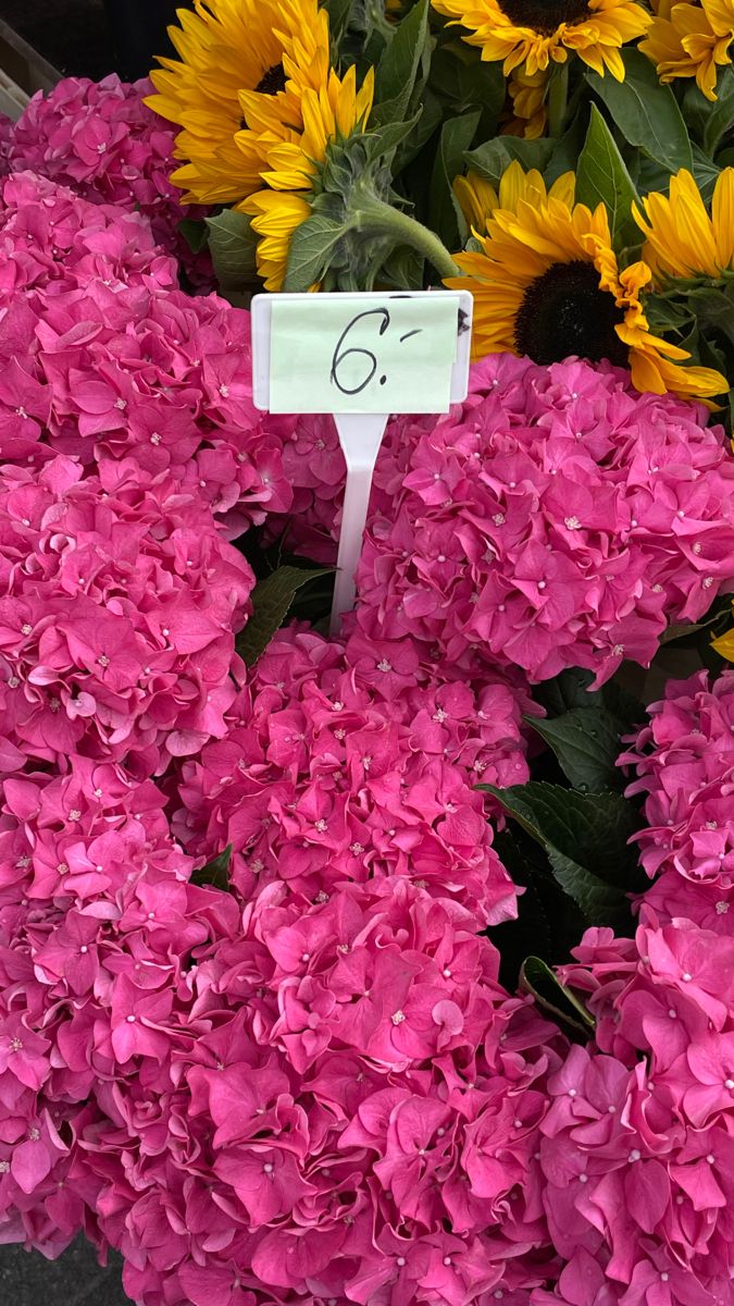 a bunch of flowers that are sitting in the grass with a price tag on them