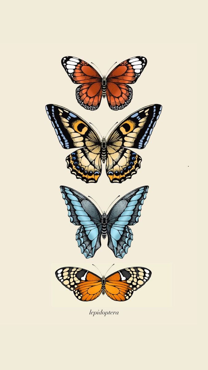 three butterflies are shown in a black frame