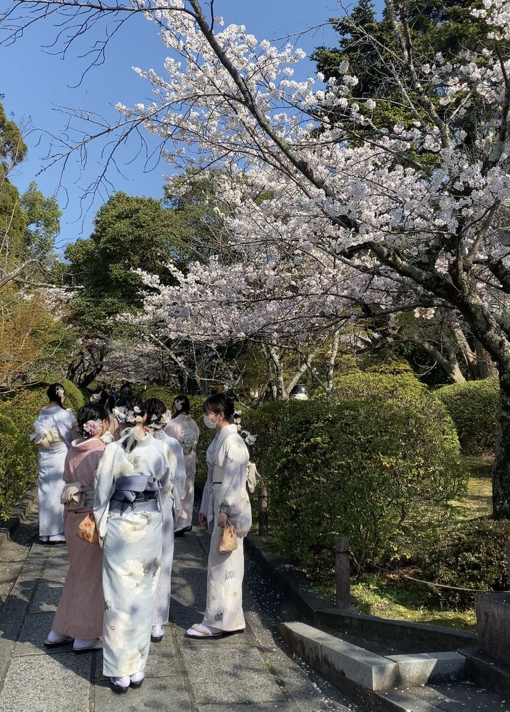 several women in kimonos walking down a path