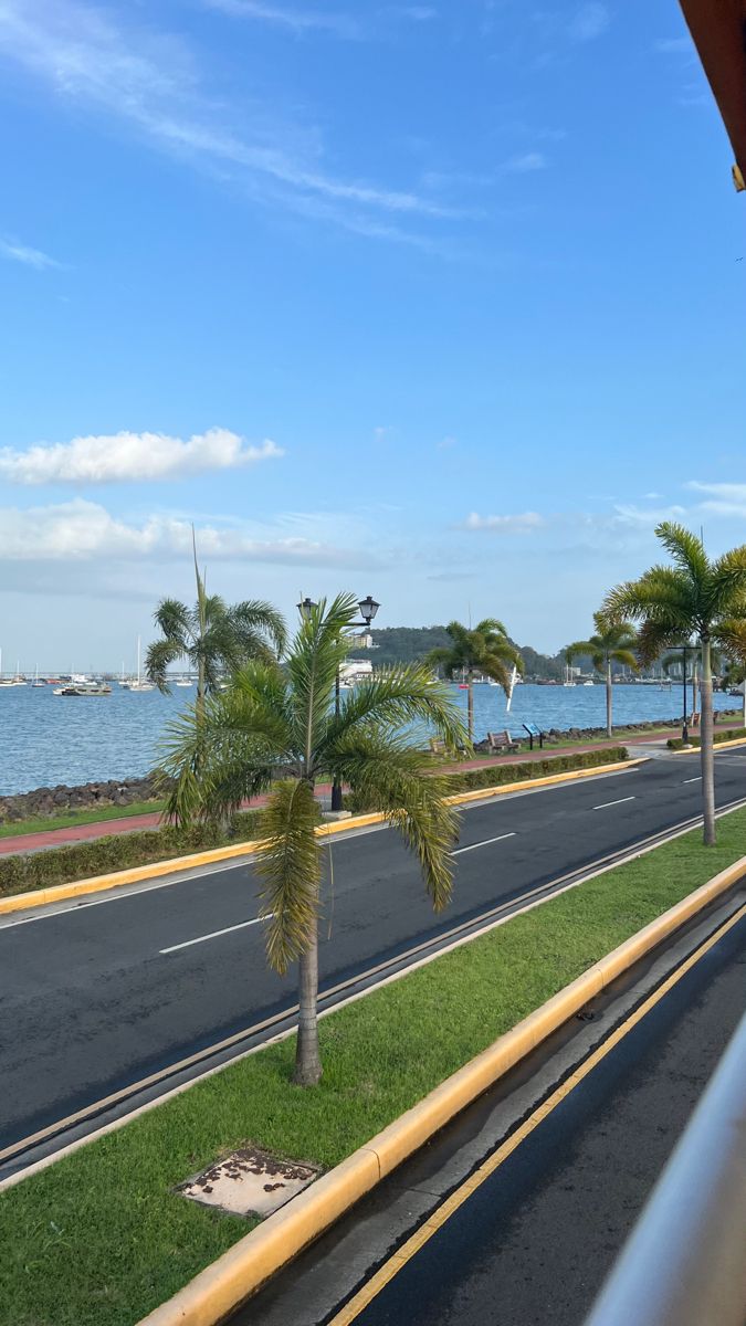 palm trees on the side of an empty road next to the ocean with boats in the distance